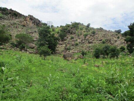 Nature Nature